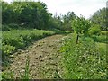 Mown footpath