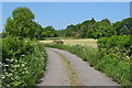 On the lane to Landford Wood