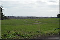 Farmland, Foxborough Hill