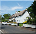 Aylesbeare: thatched cottages