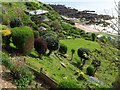 Garden below Dunlaverock, Coldingham Bay