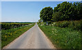 SK8792 : Minor road at Aisby by Ian S