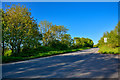 East Devon : Country Road