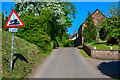 East Nynehead : Country Lane