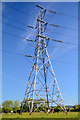 Taunton Deane : Grassy Field & Pylon