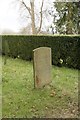 Headstone near the hedge