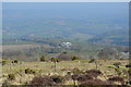 View from Kit Hill