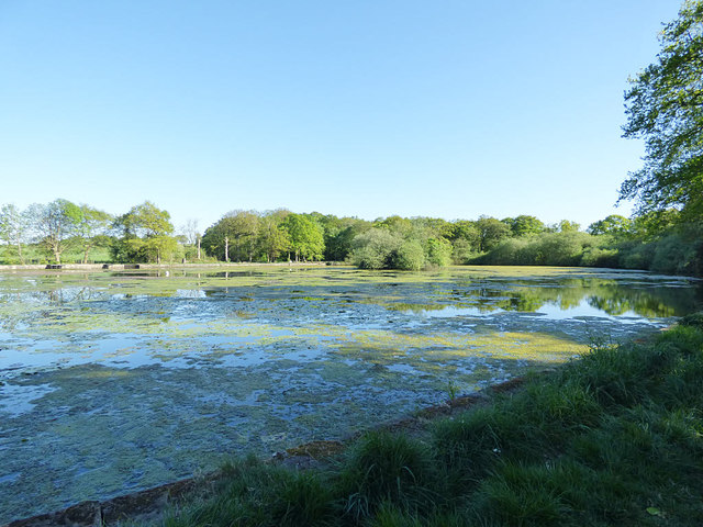 Paul's Pond, Breary Marsh SSSI