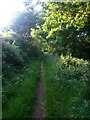 Wimborne Minster: footpath to Parmiter Drive