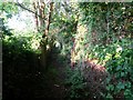 Wimborne Minster: footpath alongside the Wimborne Bypass