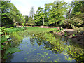 Tatton Park gardens - ornamental pond