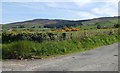 Anglesey Mountain and Clontigora Forest viewed from the junction of Edentober Road and the Clermont Pass road