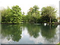 The village pond, Burton Agnes