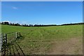 Grass field at Bays Leap Farm, Heddon-on-the-Wall