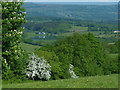 Spring view from Ridgeway, Newport