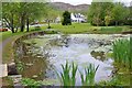 Pond at Balmacara Square