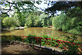 Savernake Pond, Bracknell