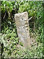 Guidestone, Smoky Hole Lane, West Chinnock