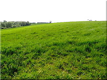 H5071 : Green pastures, Recarson by Kenneth  Allen