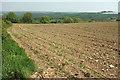 Field near South Hole