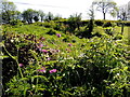 Eskeradooey Townland