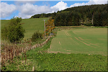 NH5762 : Field and Plantation as seen from outside Lemlair by Chris Heaton