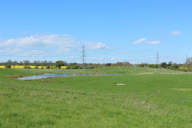 Grassland north of South Dissington