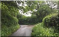 Approaching Back Lane