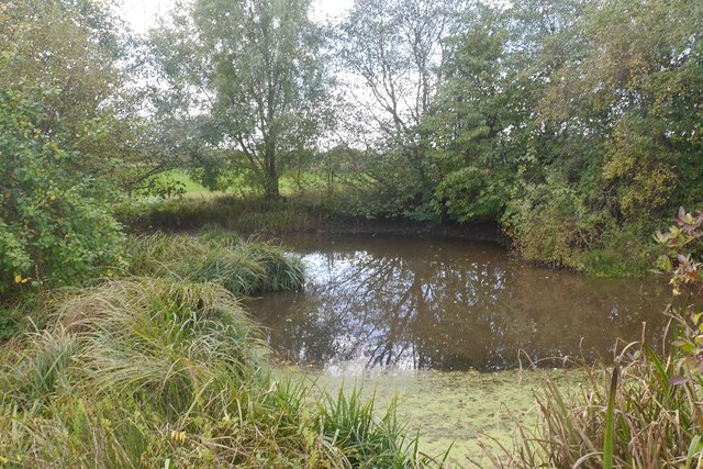 Pond, Park Farm