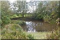 SO6663 : Pond, Park Farm by Richard Webb