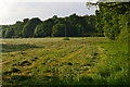 Freshly mown field at Wellow Wood