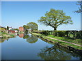 The Wyrley & Essington Canal, looking north