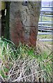 Benchmark on gatepost of field gate, Thwaites Brow Road