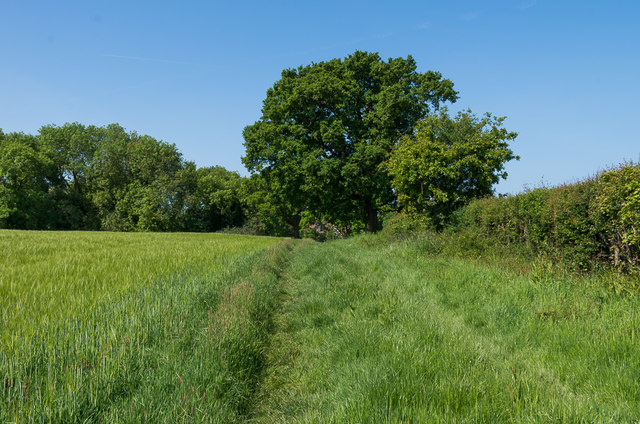 East of Newdigate