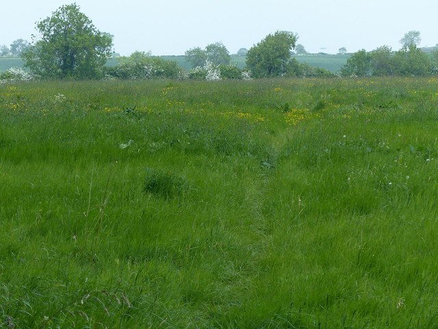 Leicestershire Round near Gaddesby