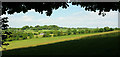 View near Higher Paddock play area, Buckland Abbey