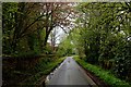 The Scotsburn/Alness Road outside Newmore Mains