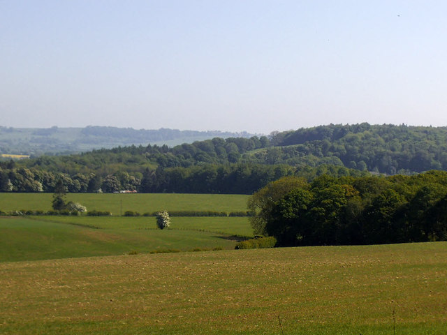 Field below Stub House Plantation © Stephen Craven :: Geograph Britain ...