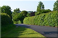 Braishfield Road, north of Braishfield