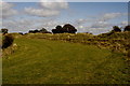 Iron-Age Hill Fort, Little Sodbury, Gloucestershire 2011