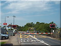 TQ6504 : Pevensey Bay level crossing by Malc McDonald