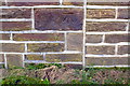 Benchmark on Butterfly Hall, Bingley Road