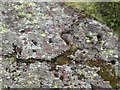 Close-up of some of the holes on rock outcrop rock cannon, Rachub