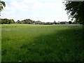 Llanfair across the meadow