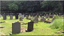 SP1682 : Graveyard at Elmdon Church by Anthony Parkes