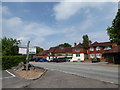 Revival of the Wisborough Green Open Garden Weekend (l)