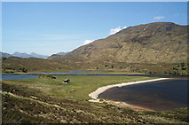 NH1421 : Jetty and bothy at the head of Loch Affric by Julian Paren