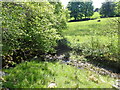 Aber Gwenwyn Feirch - Stream of the Poisoned Horses