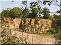 Arthington Quarry (2)