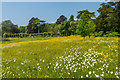 SU8612 : Spring meadow, West Dean Gardens by Ian Capper